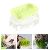 Grass Grower Box Planting Tray (No Need Soil) Multipurpose Starting Plant Growing Trays žalia