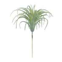 Realistic Tillandsia Succulents Artificial Air Plant For Home Office Decors with Nature Lookings for Indoor Landscape