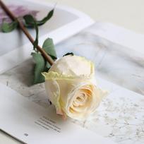 Fire Roasted Burnt Edge Rose Romantic Fake Flower New Simulated Flower