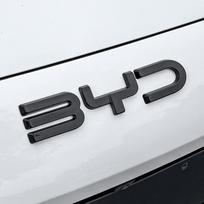 For BYD Seal 06 DMi Front Emblem Letter Decoration Seagull Dolphin EV Carbon Fiber Emblem Modification