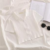 Women's Summer Lapel T-Shirt: High-Waist, Navel-Baring, Slim Fit, Short Sleeve, Chic Hong Kong Style with Zipper. Medium