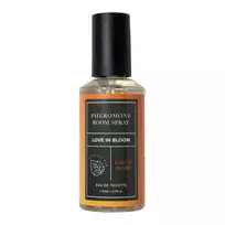 Eye of Love Earths Desire, 150 ml namų kvapas su feromonais