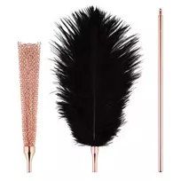Rosy Gold Feather Tickler and Whip botagėlis