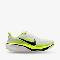 Nike Pegasus 42
