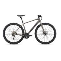 Dviratis GIANT ToughRoad SLR 2, metalinis
