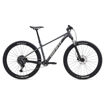 Dviratis GIANT Talon 1, 29  anglies pilka