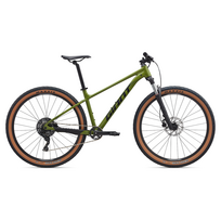 Dviratis GIANT Talon 2, 29  Dried Matcha