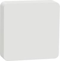 Schneider Electric Wiser Temperature and Humidity Meter (CCT593011)
