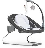 Hauck Baby Products Hauck Alpha Bouncer Deluxe, Baby Bouncer Seat and Highchair Seat, Melange Gray (661857)