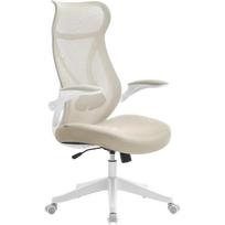 Ergonominė biuro kėdė