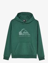 Quiksilver - Comp Logo Hoodie Youth - Džemperis - Žalia