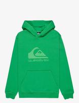 Quiksilver - Comp Logo Hoodie Youth - Džemperis - Žalia