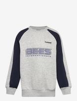 Hummel - Hmljr Oversized Iconic Crew Bees - Megztinis - Pilka