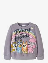 Name It - Nmfjenney Bluey Sweat Bru Sky - Megztinis - Pilka