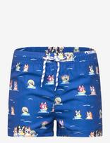 Bluey - Swimwear - Maudymosi šortai - Mėlyna