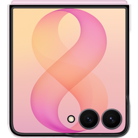 Galaxy Flip8 skaidrus dėklas
