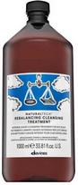 Davines Natural Tech balansuojantis valomasis kremas, 1000 ml