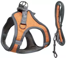 Besk Krūtinės diržas šunims, M dydis, 48-55 cm, oranžinis
