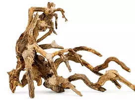 Terra Natura Bonsai medžio dekoracija akvariumui ir terariumui Nr. 64, 50x40 cm (TN-42088)
