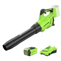 Pūstuvas 40V GenII g40abII (su 2Ah akumuliatoriumi ir krovikliu), Greenworks