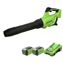 Pūstuvas 40V GenII (su 2X2Ah akumuliatoriais ir krovikliu) gd40abk2X, Greenworks