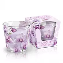 Mondex Kvapioji žvakė stiklinėje ORCHID PHALAENOPSIS 115g