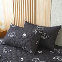 Vandeniui atsparus pagalvės užvalkalas 2 dalių Miegamojo pagalvės užvalkalas 48x74cm Dydis 100% Neperšlampamas pagalvės užvalkalas miegamajam Only 2 PCS Pillow Cover gray