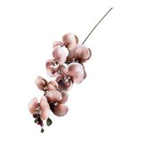 Faux Orchid Stems 39 Inch Artificial Phalaenopsis Flowers with 9 Heads Full Blooms for Valentine's Day Home Office Wedding Party Decor
