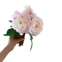 Artificial Peonies Flower Fake Silk Peony Bouquet with 3 Heads Full Blooms And 4 Buds Faux Floral Arrangements for Wedding