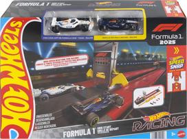 Mattel HOT WHEELS F1 lenktynių trasa – Grid Start (JNN35)