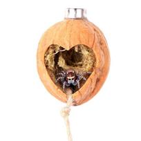 Walnut Nest Jumping Spiders Decoration Terrarium Habitat Decors Enclosure Accessories