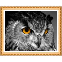 Sophie Beauty Deimantų piešimo pagal skaičius nuotraukos Deimantinė pelėda 5d Deimantinis siuvinėjimas Gyvūnas 20X30CM