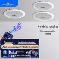 SAST D30 Wireless Bluetooth Ceiling Speaker System CN plug (adapter included)