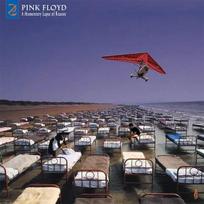 Pink Floyd – A Momentary Lapse Of Reason (Remixed & Updated) (vinilinė plokštelė, LP)