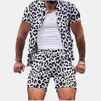 Men's New Hawaiian Casual Beach Outfits Leopard Print Short Sleeved Set Casual Lapel Shirt Two Pieces XXXL gray