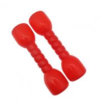 1 Pair Children Weightlifting Set Exercise Fitness Dumbbells Kids Weightlifting Dumbbells Plastic Home Exercise Dumbbell red