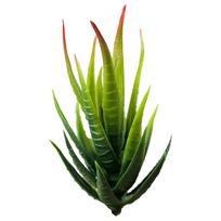 Fake Succulent Plant Simulation Flower Artificial Aloe Plant Easy Maintenance A