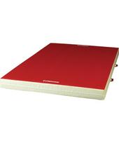 Tradicinis gimnastikos kilimėlis, dvigubo tankio, PVC danga, 300 x 200 x 20 cm