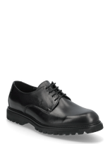 Lloyd - Select 117G - Derbio batai - Juoda