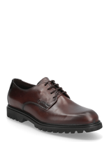 Lloyd - Select 117G - Derbio batai - Ruda