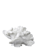 Mette Ditmer - Coral, Large Fan - Porcelianinės figūrėlės ir skulptūros - Balta