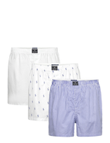 Polo Ralph Lauren - Cotton-3Pk-Bxr - Bokseriai - Marga / raštuota