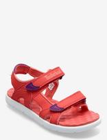 Timberland - Perkins Row Backstrap Sandal Cayenne - Sandalai - Rožinė