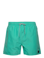 Rip Curl - Offset 15 Volley - Šortai - Mėlyna
