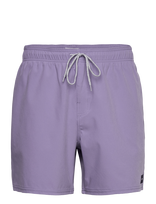 Rip Curl - Daily Volley - Šortai - Violetinė
