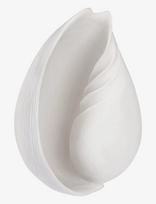 Mette Ditmer - Conch Shell - Porcelianinės figūrėlės ir skulptūros - Balta