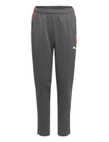 PUMA - Individualliga Training Pants Jr - Sportinės kelnės - Pilka