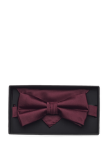 Lindbergh Black - Polyester Bow Tie - Peteliškė - Burgundiška splava