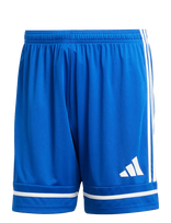 Adidas Performance - Squa25 Sho M - Sportiniai šortai - Mėlyna
