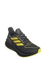 Adidas Performance - Ultraboost 5 Gtx - Bėgimo bateliai - Juoda